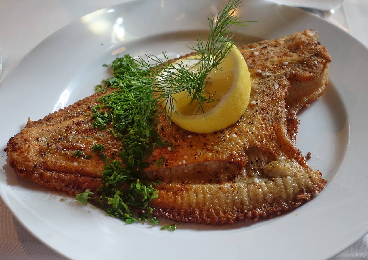 plaice-2796910_1280
