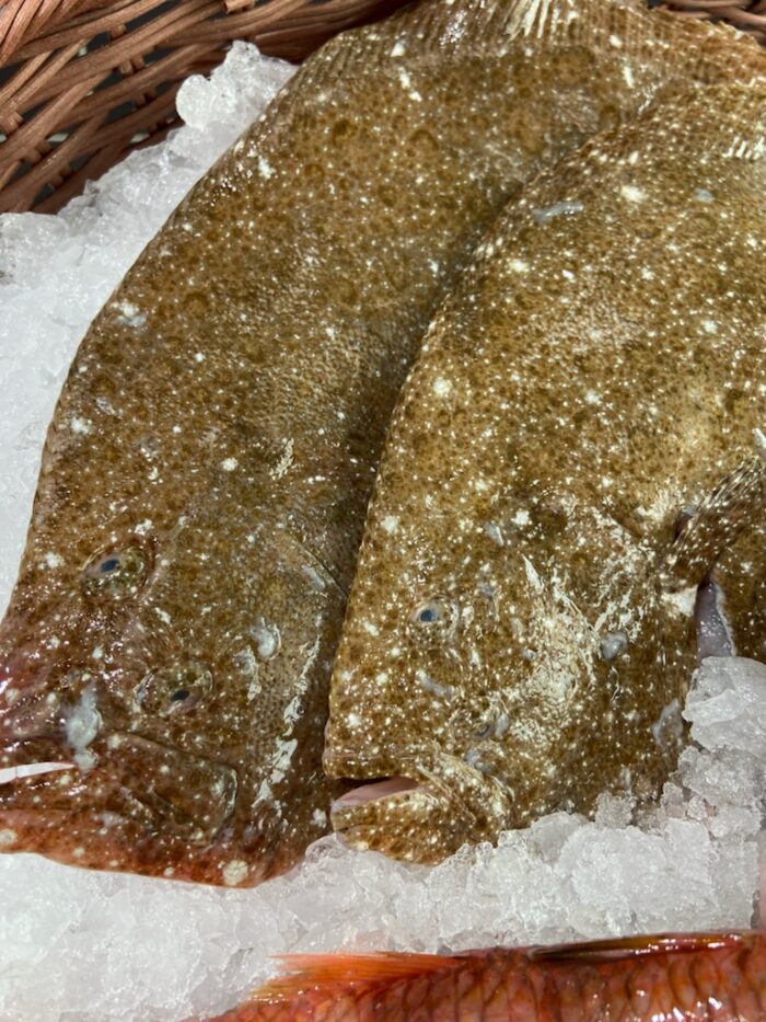 Barbue