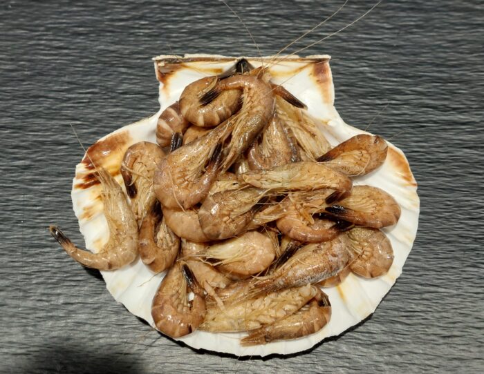 Crevettes grises 100g