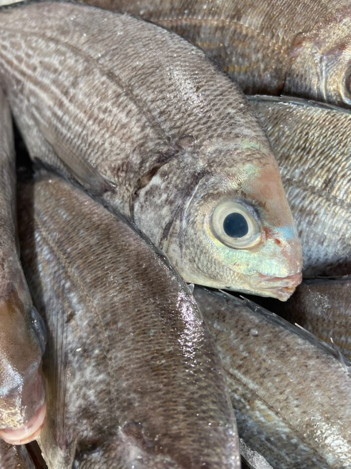 Dorade grise 350g/450g