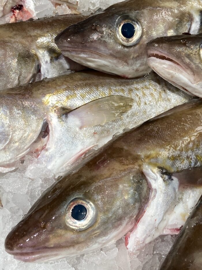 Merlan 250g/300g