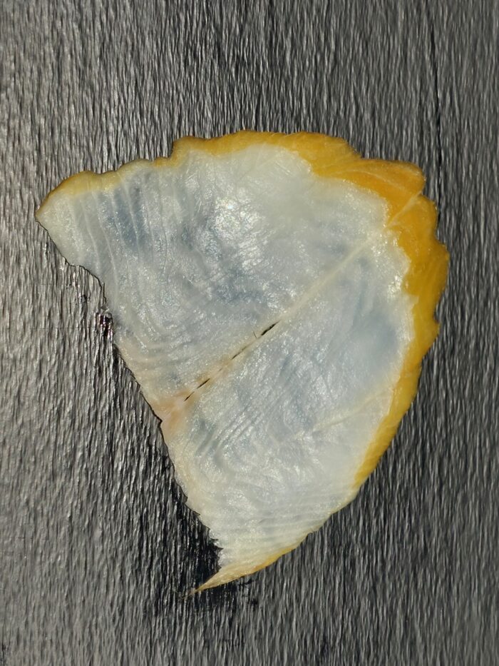 Flétan fumé 60g/80g