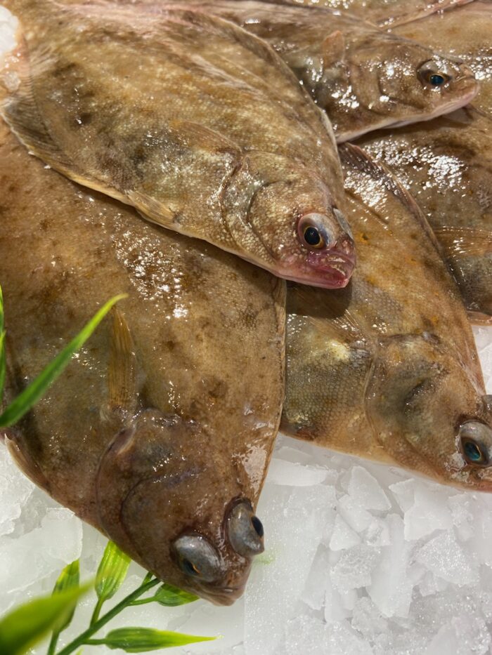 Limande 180g/220g