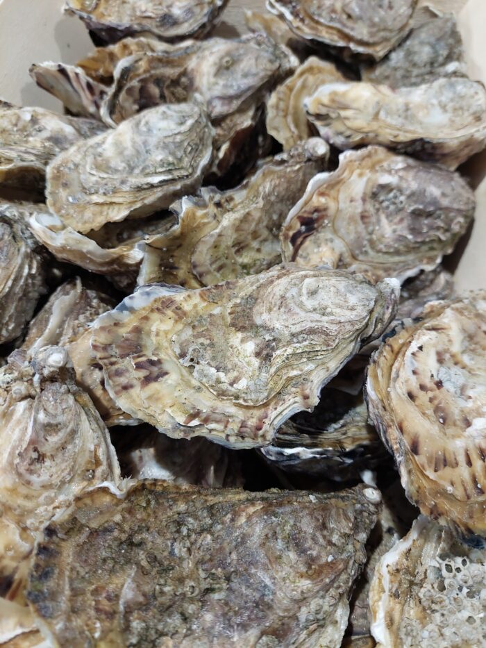 Huîtres Normandes Spéciales (la douzaine)